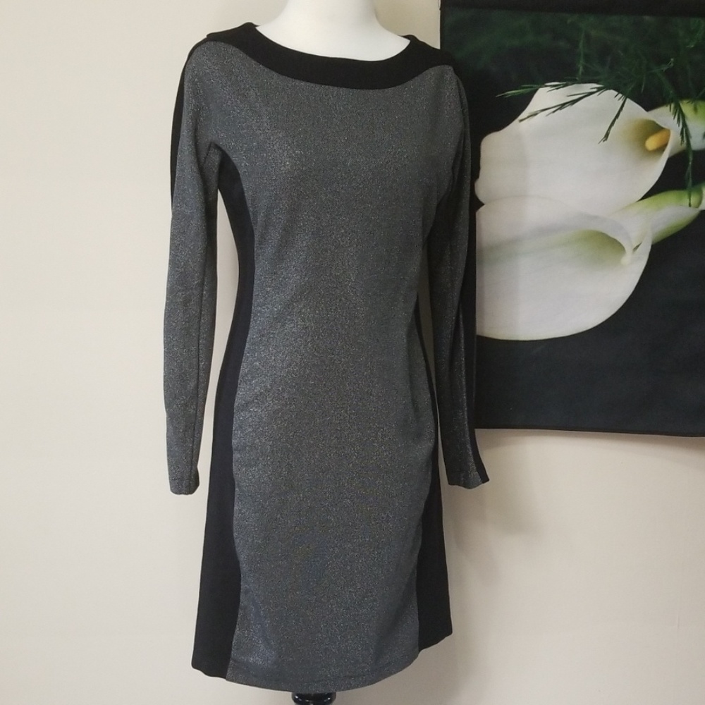 BCBGMaxazria Sage Boatneck Long Sleeve Dress